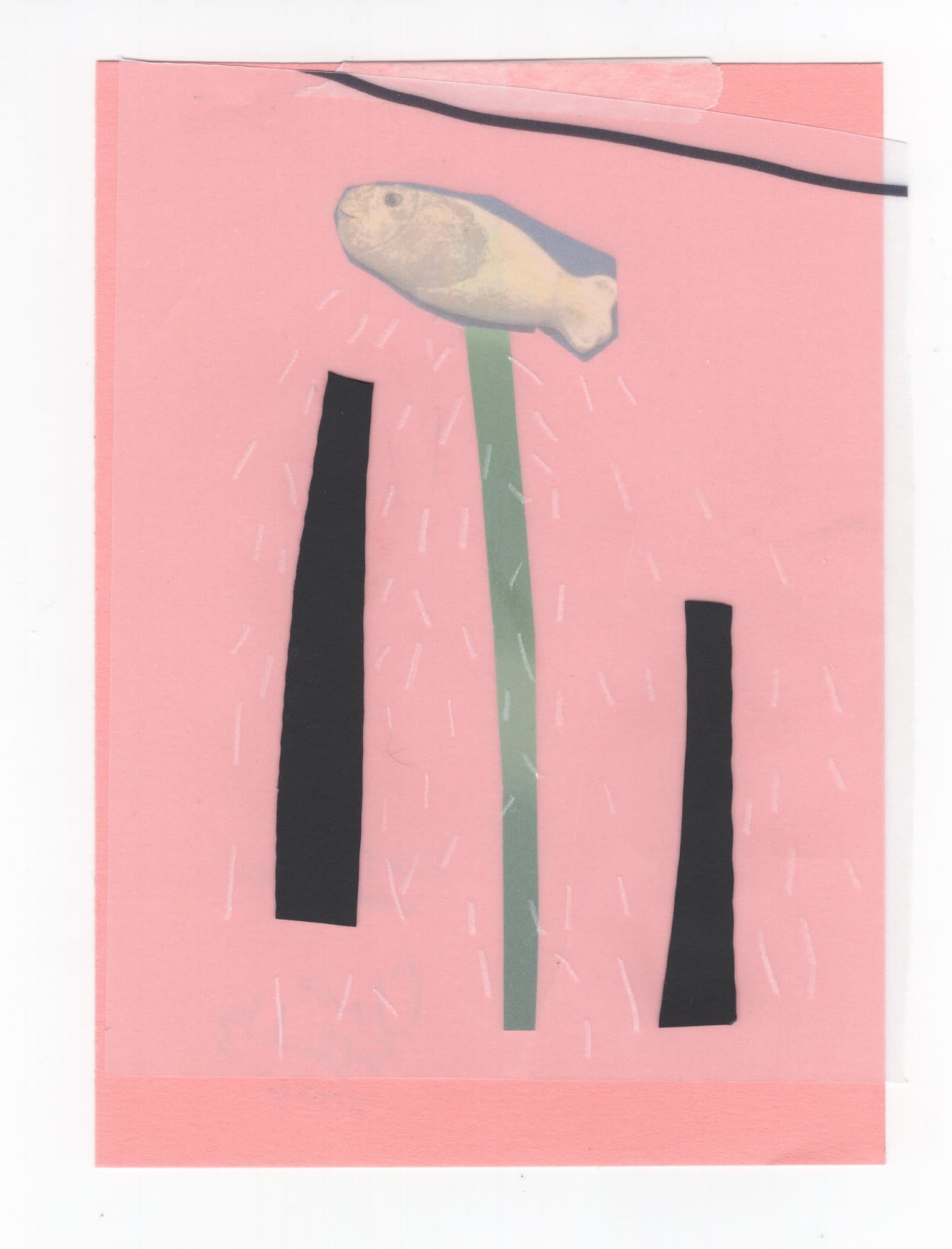 Chris Schultz, work on paper: fish suspended over a pink field