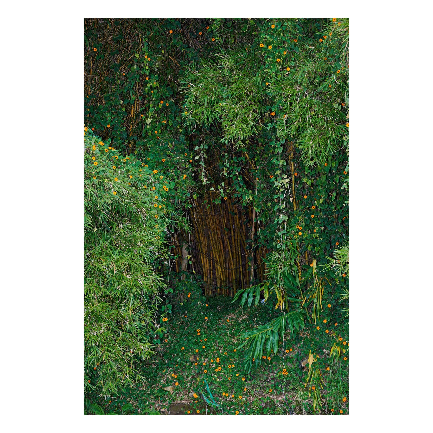 A Portal (2023) by Forrest Frederick
