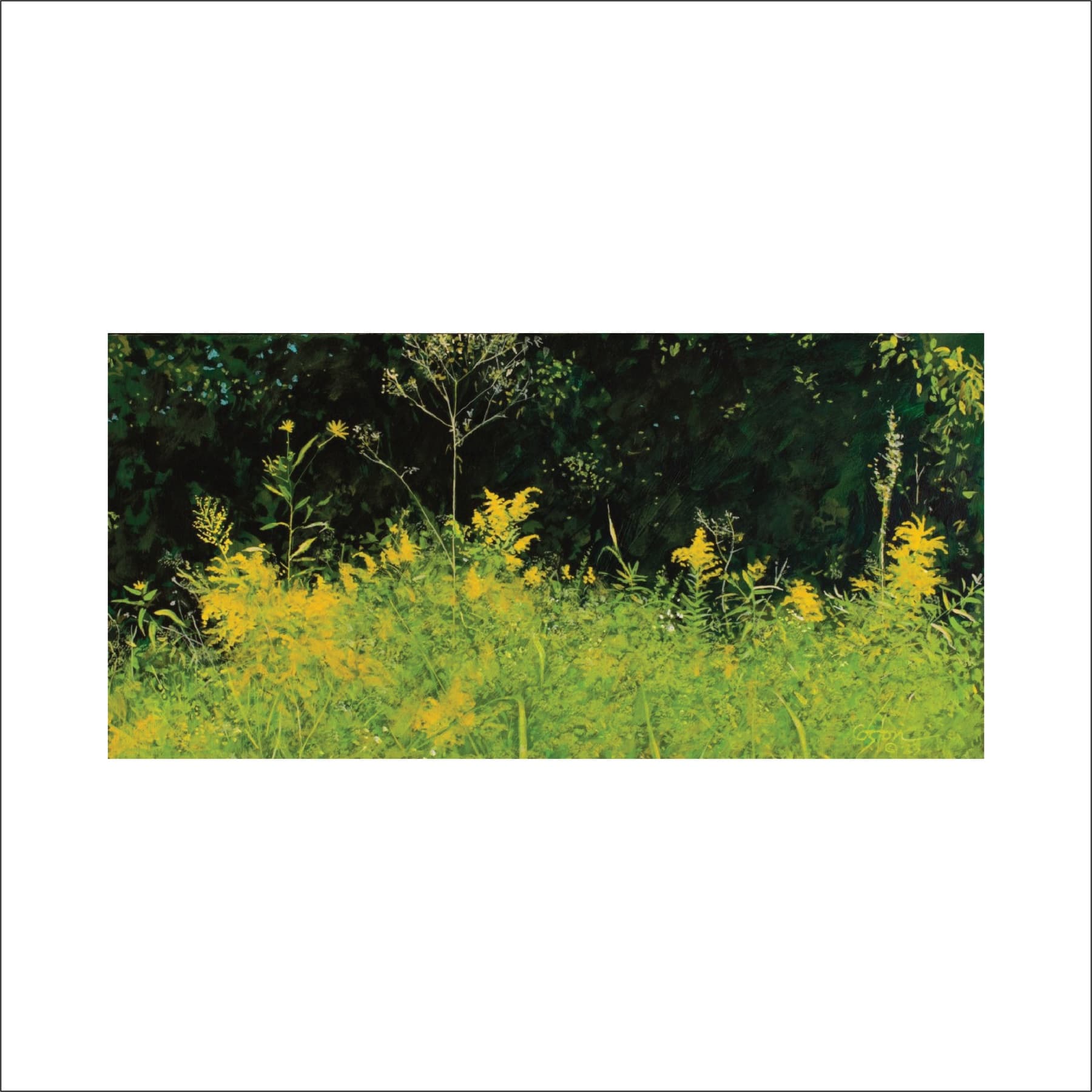 End of Summer (2023) by Daniel Coston