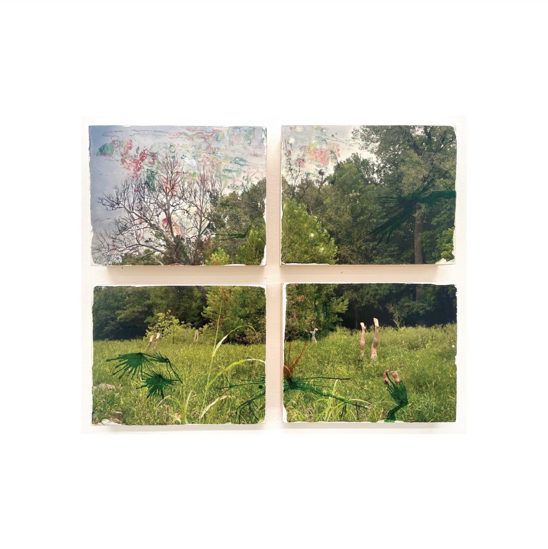 Garden (2024) by Mackey Howe
