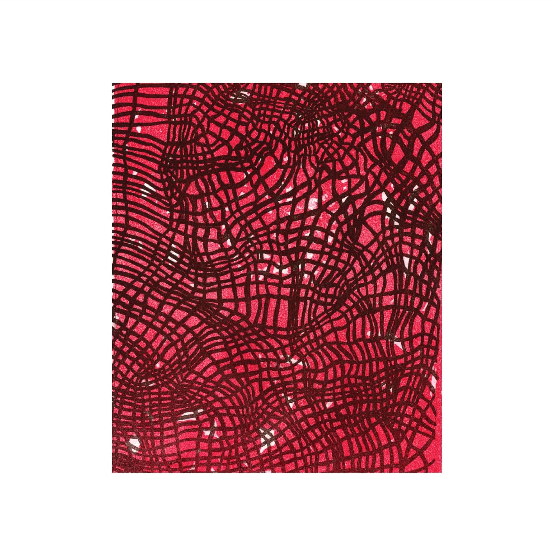 Net (2024) by Kylie Robinson