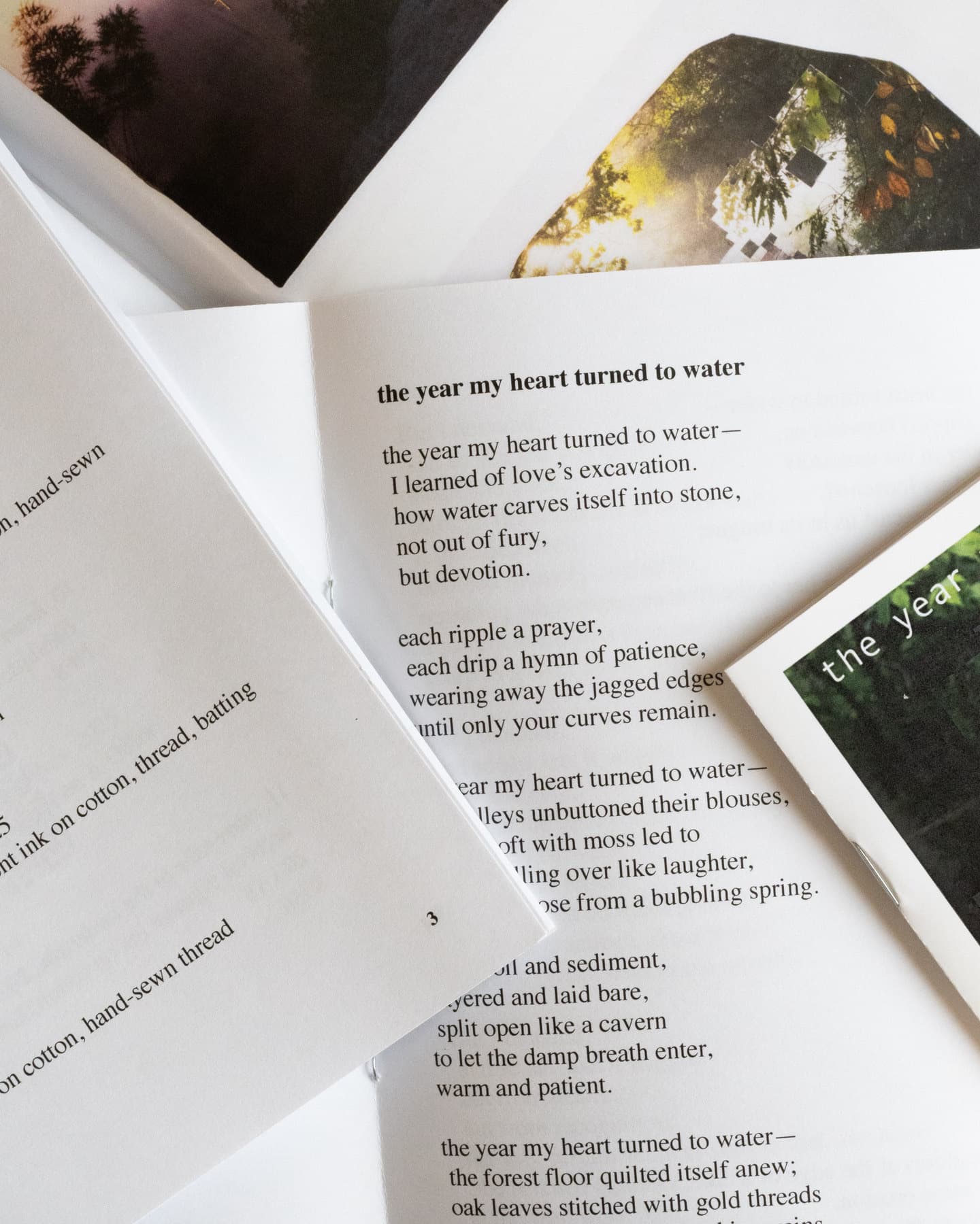 the year my heart turned to water by Amber Imrie